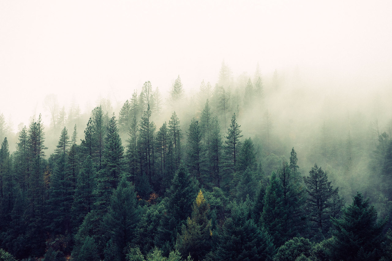 Tumblr ng37kbjfno1qfirfao1 1280