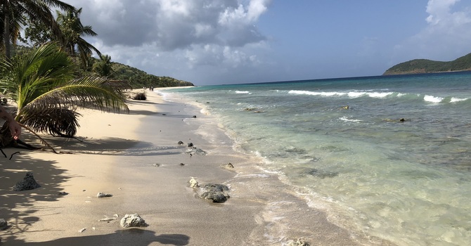 Erectile Dysfunction Therapy