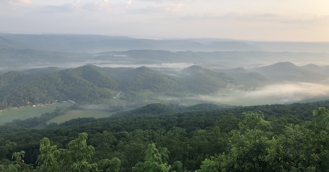 Anti-Aging/Longevity Therapy