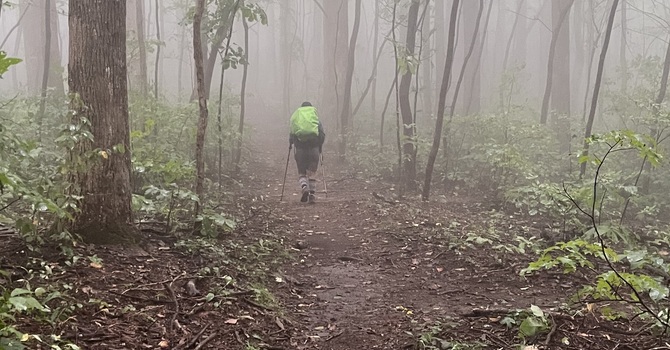 Testosterone Replacement Therapy (TRT)