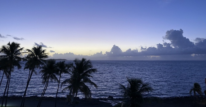 Testosterone Replacement Therapy (TRT)