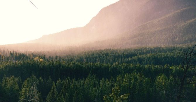 Anti-Aging/Longevity Therapy