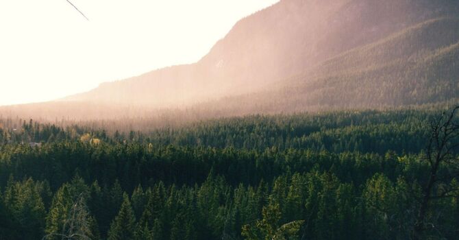 Male Fertility Treatment